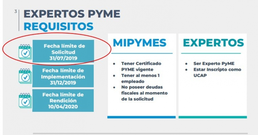 gallery/experto pyme 3